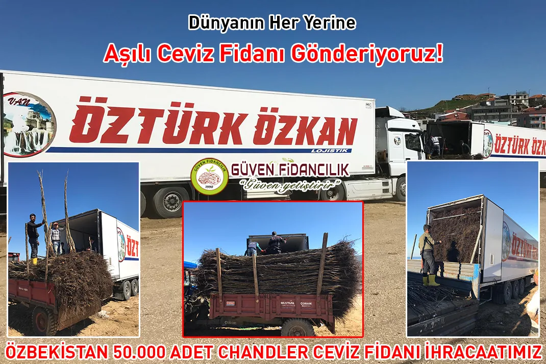 Üretim arşivimizden paketleme ve sevkiyat görüntüleri.