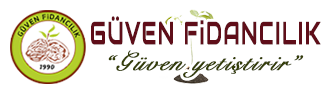 Güven Fidancılık